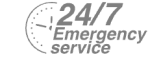 24/7 Emergency Service Pest Control in Streatham, SW16. Call Now! 020 8166 9746