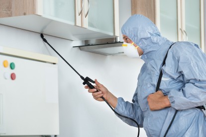 Home Pest Control, Pest Control in Streatham, SW16. Call Now 020 8166 9746